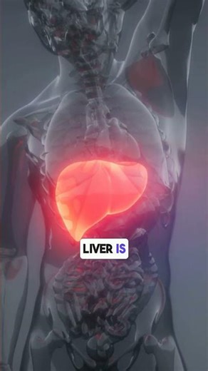 What are Liver Function Tests (LFTs)?