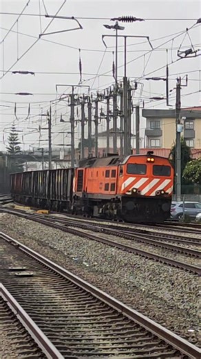 NORTERAIL on Instagram: "Today's star attraction was the Bombardier Medway 1964 hauling a top-and-tail timber transport train with locomotive 4717. Full Power Passage in 📍Lousado📍. @railcolor"