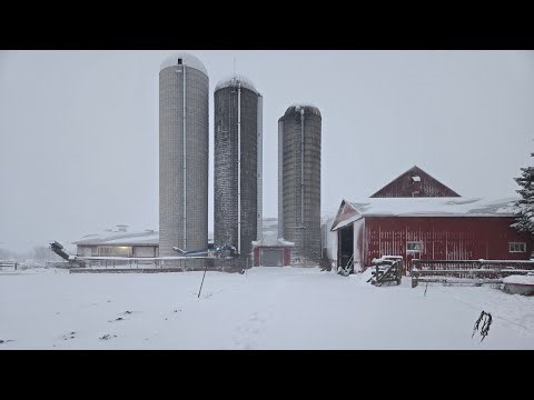 Dairy feed system chores! Changing tower silo doors!