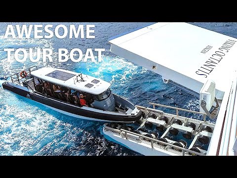 Viking Octantis: The Special Operations Boats