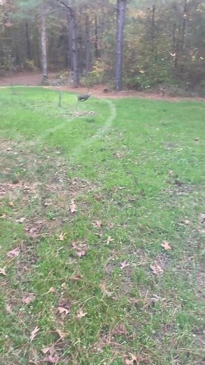 He likes Van Halen song …might as well jump | Russell Haynes