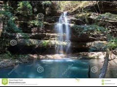 Bigfoot - Bankhead National Forest, Alabama Bigfoot Society Adventures
