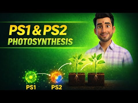 PS1 & PS2 Explained | Photosystem 1 and 2 | Class 11 Biology | Light Reaction #photosynthesis #viral