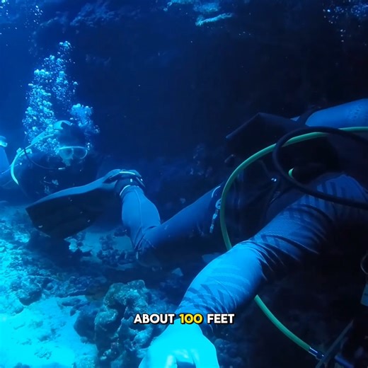 The Day the Challenger Crew Was Found Beneath the Sea #Challenger1986 #NASAHistory #NeverForgotten | History Nerds HQ