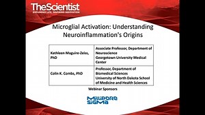 Microglial Activation: Understanding Neuroinflammation's Origins