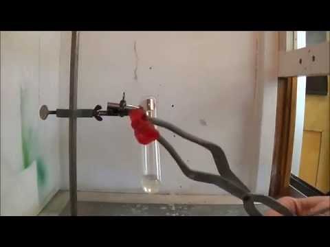 Réaction : Chlorate de Potassium et Glucose Gummy Bear Experiment