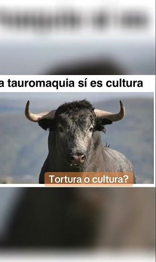 Tauromaquia tortura o cultura?