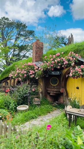 Discover Hobbiton: Magical Tour of Hobbit Holes