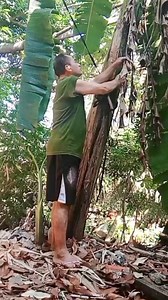 Kali Ciliwung Bogor berada,, | Kang Oncom
