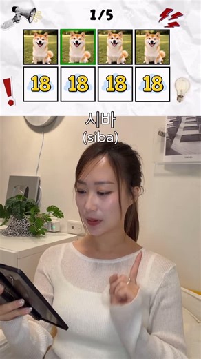 咪蕾 미래 on Instagram: "욕 안하기 도전 本影片沒有罵髒話真的啦 ✏️單字 시바(siba) 柴犬 십팔（sibpal) 十八 신발（sinbal) 鞋子 식빵（sikbbang) 吐司 수박（subak) 西瓜 수발（subal) 照顧"