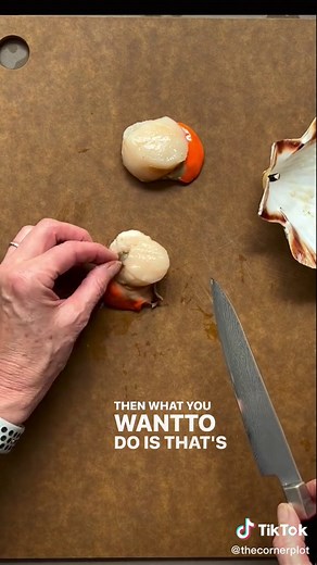 How to Prep Scallops - Step-by-Step Guide for Cooking Seafood