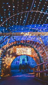 It’s a Christmas Break at Bluestone with over five free festive activities plus an Elf School! 🎅💙✨ And if you book your 2026 Christmas Break today you can enjoy even more free activities* worth over £50pp including Santa’s Lodge, Elf School and The Christmas Show when you add on our FREE Christmasland Activity Bundle! 🌟 *Available on breaks arriving Monday 2 November 2026 - Monday 14 December 2026. | Bluestone