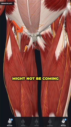 270K views · 716 reactions | GROIN PAIN? Stretching Might Be Making...