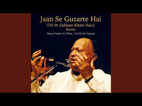 Jaan Se Guzarte Hai (Remix / Dil Pe Zakham Khate Hain)