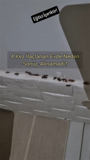 Selman Bey İstanbul Böcek İlaçlama on Instagram: ""Kimse Böyle İlaçlama Yapmadı!" ⭐ Usta Farkı Nedir? Müşterimizin bu sözleri, neden işimizi bu kadar titiz yaptığımızın en güzel özeti 😊. 4 kez ilaçlanan evdeki farkı Selman Bey olarak biz gösterdik 💪. Mesele sadece ilaç sıkmak değil; doğru bilgi ve doğru uygulama farkı ortaya koyar 🛡️. Bizi tercih eden ve güzel dualarını eksik etmeyen müşterimize teşekkür ederiz 🙏. 📞 0555 005 90 30 | 🌐 (www.bocekilaclamalari.com) #ilaçlama #hamamböceği #sel