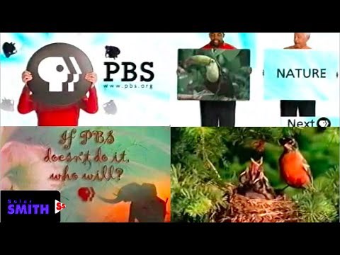 PBS Channel Program Break (February 8, 2000)