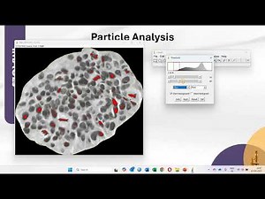 Image J: Analyzing Particles