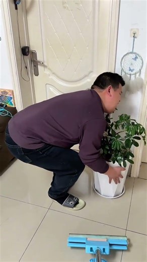 Spring's Unconventional Husband: A Hilarious Surprise