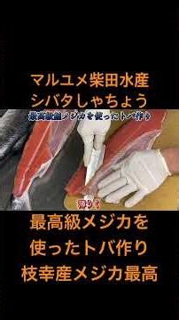 【仕事風景】毎度様です！シバタしゃちょうです！今回枝幸産最高級鮭メジカを使ったトバ作り！プロの技全て見せます！YouTube本編是非ご覧下さい！ #マルユメ柴田水産シバタしゃちょう