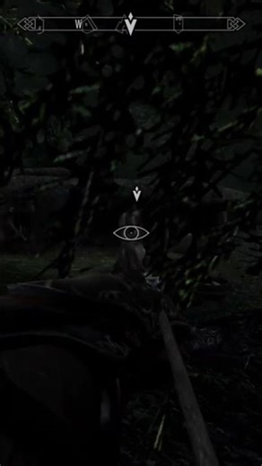 Assassinating Hern - TESV: Skyrim