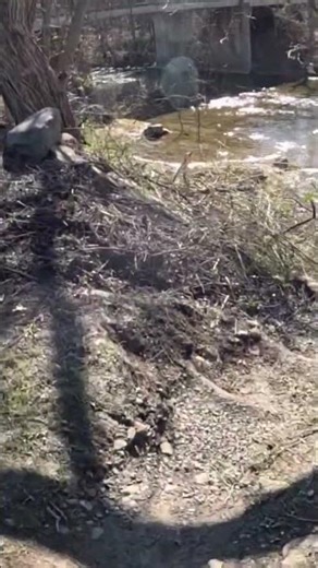 A fishing adventure on Elk Creek