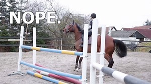 43K views · 570 reactions | Det går ikke altid helt som planlagt, når man skal optage video!  men i det mindste kan det give et godt Her er lidt "bloopers" fra optagelserne med brandambassadørerne, som I har set de sidste mange søndage. Del endelig, hvis du selv har nogle sjove "bloopers" fra ridningen eller stalden her i kommentarfeltet Husk at se med lyd! | Hooves | Facebook