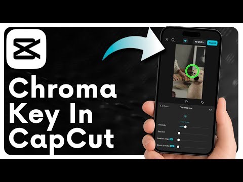 How to Do a Green Screen in CapCut (Chroma Key)