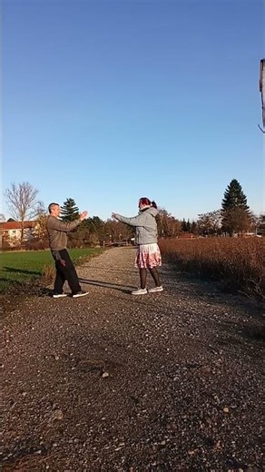 Tai Chi Chuan (Yang Style ) Punch defense #combat #martialarts #defense #kungfu #taichi #kempo