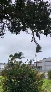 It's getting windy in Spring Valley! ☔️💨 ABC 10News is tracking wet and windy conditions around the county today -- want your video shown on TV? Be sure to submit it to pictures@10news.com or on our Weather Watchers page: facebook.com/groups/10NewsWeatherWatchers/ | 10News – ABC San Diego KGTV