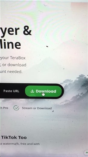 Free TeraBox Video Player & Downloader Online | Stream Direct TeraBox Links Without App