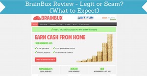 BrainBux Review - Legit or Scam? (What to Expect)