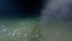 Researchers Found a Mysterious Spring Under the Cascadia Subduction Zone