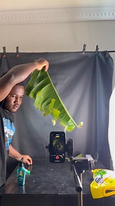 Cooking | fresh.main
