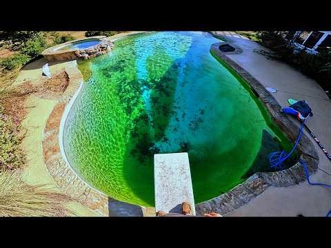 Disgusting Green Pool Transformation! POV ASMR Pool Cleaning Sounds