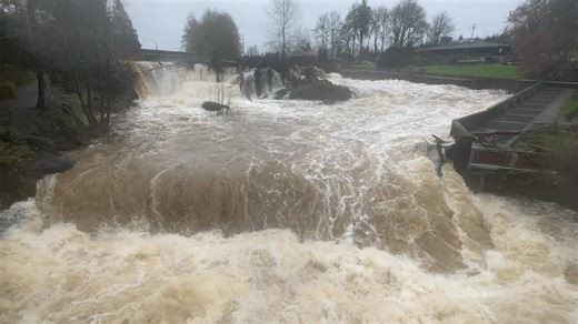There’s flood warnings and watches all over the state with 26 rivers at risk of flooding. Make sure you’re following weather alerts near you. Put your ZIP code in at https://www.weather.gov/ to find the latest. For your latest, local road and community alerts, opt in to alerts at https://mil.wa.gov/alerts#local Ensure your wireless emergency phone’s alerts are turned ON so you don’t miss critical life safety information. A reminder on evacuations: • Level 1 means be ready. Be alert. There is a t