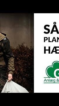 Sådan planter du hæk