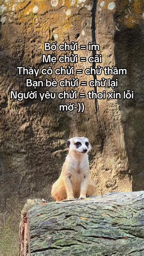 Tour nhốt người thả thú Vinpearl Safari Phú Quốc