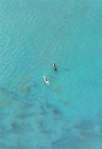 宮古島の夏の魅力を探る4選