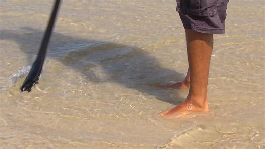 Learn How to Catch Worms for Fishing