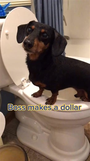 63K views · 1.7K reactions | 1361_Poop on company time #pooponcompanytime #bossmakesadollarimakeadime #fbreels #viral #fypシ #fyp #love #foryou #trending | Charlotte Adams | Facebook
