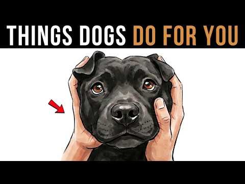 16 Things Your Dog Is Doing For You Without You Knowing