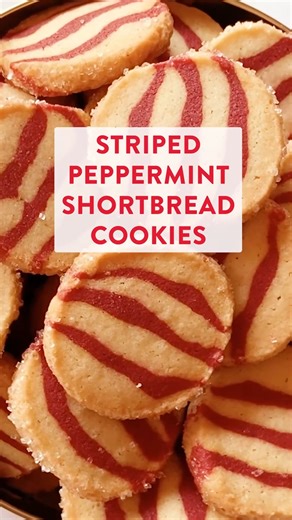 King Arthur Baking Company on Instagram: "These cookies are festive on the outside, cool on the inside, and just a little bit twisted. Striped Peppermint Shortbread Cookies are flavored with just a touch of peppermint oil and vanilla, and the two flavors/colors of dough are twisted together in an eye-catching pattern. Get the recipe and bake them for the holidays at the link in our bio >> @kingarthurbaking"