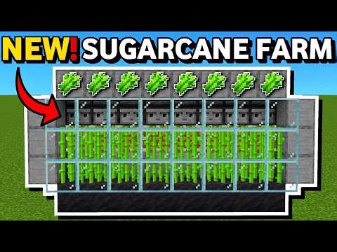 Minecraft Bedrock: NEW Sugarcane Farm Tutorial 1.21!