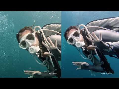 Underwater test | GoPro Hero 12 vs DJI Osmo Action 4