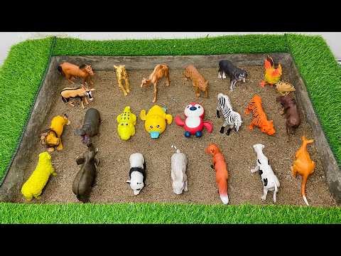 Animal Size Adventure! | Giant Wild Animals & Sea Creatures for Kids | Learn Big & Small