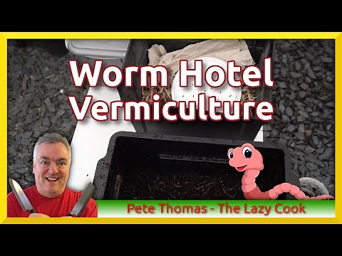 Worm Hotel | How to Build a 3-Tier Worm Composing Bin | Vermiculture