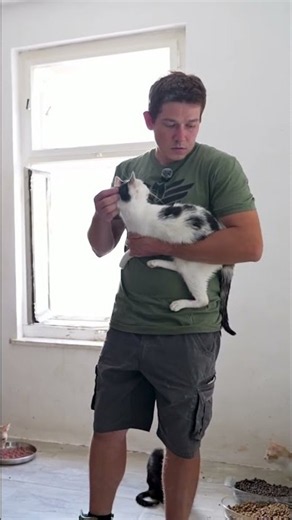 Shelter Cat Quarantine Keeping Sick & New Cats Safe