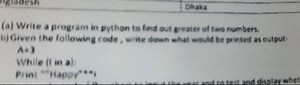 (a) Write a program in python to find out greater of two number... | Filo