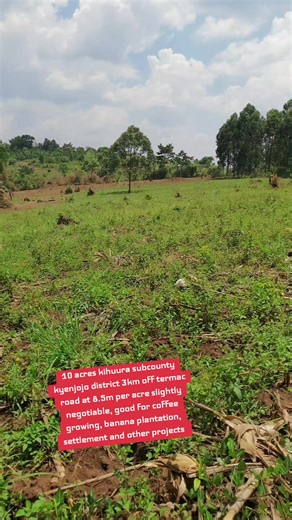 Property Manager (@propertyandjobsagencies)’s videos with original sound - Zubail promoter the versatile