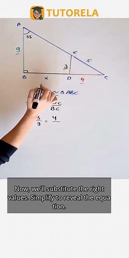 Solving for X in Similar Triangles CED & ABC #Math #SimilarTrianglesAndPolygons